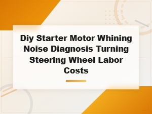 Diy Starter Motor Whining Noise Diagnosis Turning Steering Wheel Labor Costs