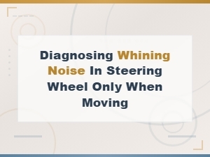 Diagnosing Whining Noise From Steering Wheel When Moving - Serpentine Belt Inspection